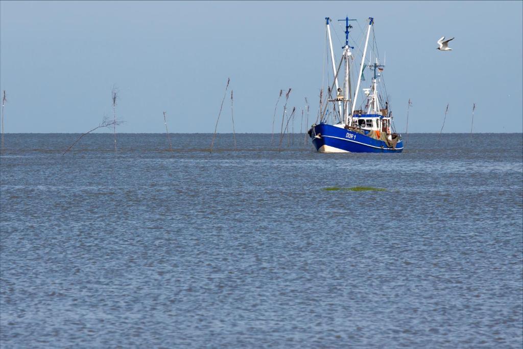 Cuxland-Ferienpark Nordseebad Dorum دوروم المظهر الخارجي الصورة